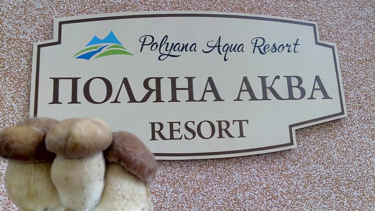 аква Poljana